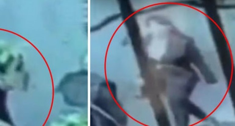 Bakıda 15 yaşlı oğlanın anasını qətlə yetirməsinin görüntüləri - ANBAAN VİDEO