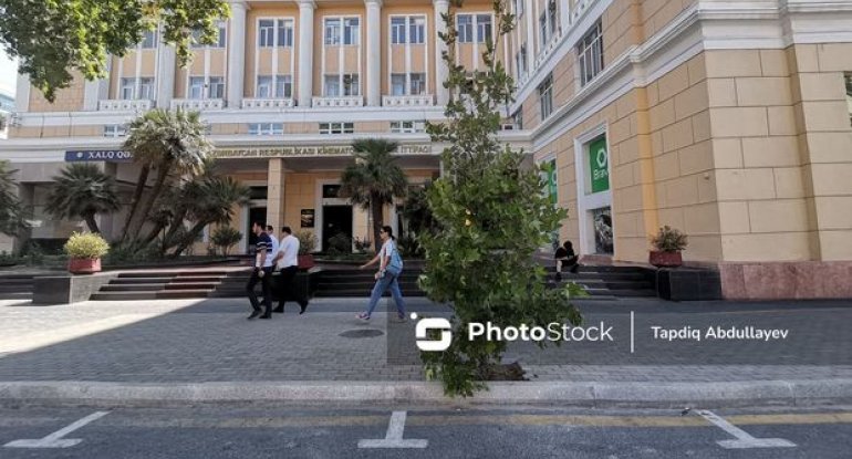 Bakıda prezidentin göstərişi ilə sökülən qanunsuz parklanma yerində ağac əkildi - FOTO