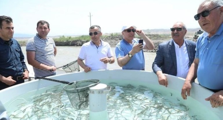 Siyasi partiya sədrləri Həkəri çayına balıq buraxdılar - YENİLƏNİB + FOTO