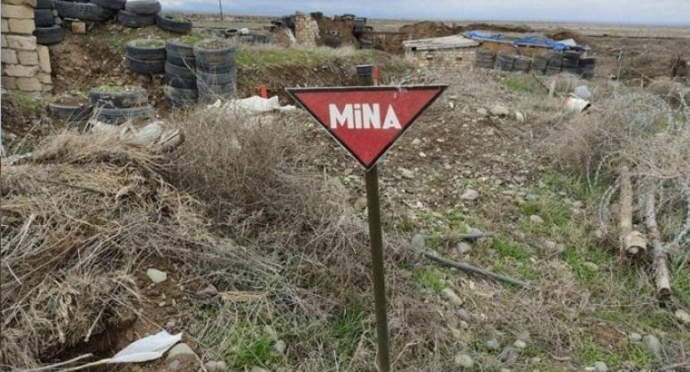 Azad edilən ərazilərdə daha 56 mina aşkarlanıb