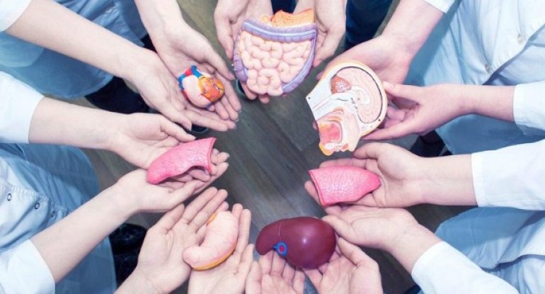 Azərbaycanda “Orqan Donorluğu və Transplantasiyası üzrə Koordinasiya Mərkəzi” yaradılıb
