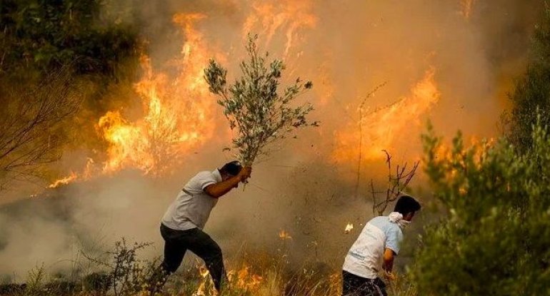 Meşə yanğınları bu xəstəliklərə səbəb ola bilər - Həkimdən tövsiyə