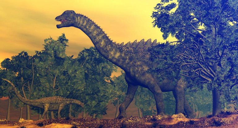 160 milyon il əvvəl yaşayan Avropada ən böyük dinozavrın skeleti aşkarlandı - FOTO