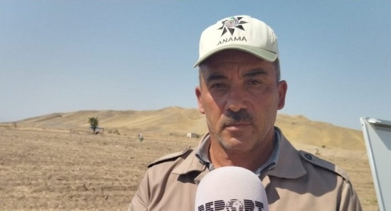 Ermənilərin ən çox mina basdırdıqları ərazi açıqlanıb