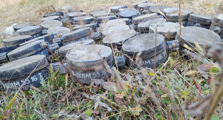 Daşkəsəndə ermənilərin basdırdığı 452 mina zərərsizləşdirilib - FOTO