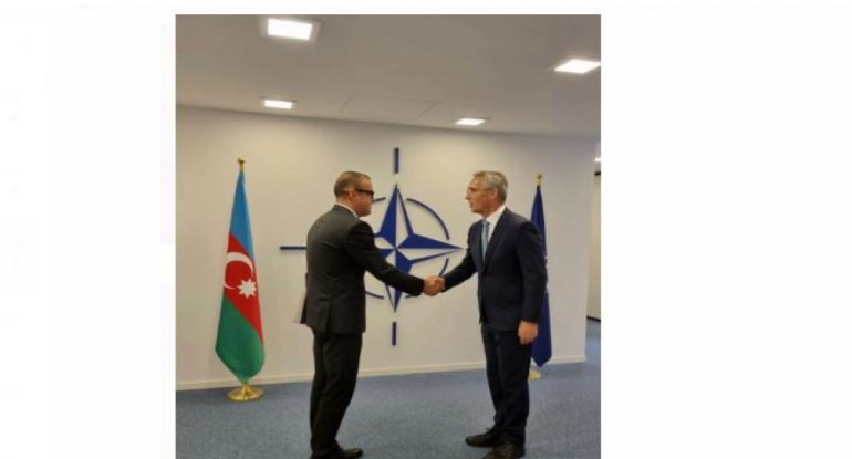 Azərbaycan-NATO əməkdaşlığı müzakirə edildi