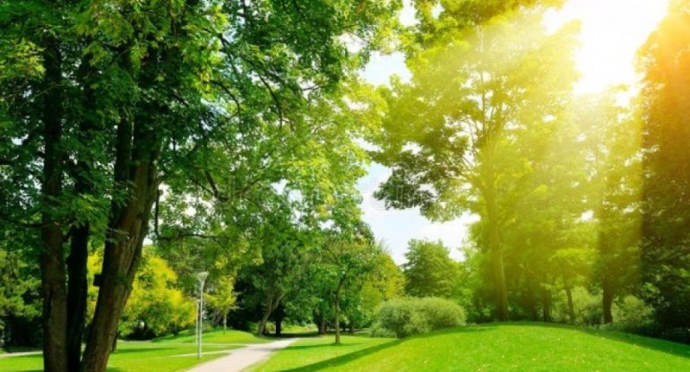 Sabahın hava proqnozu açıqlandı