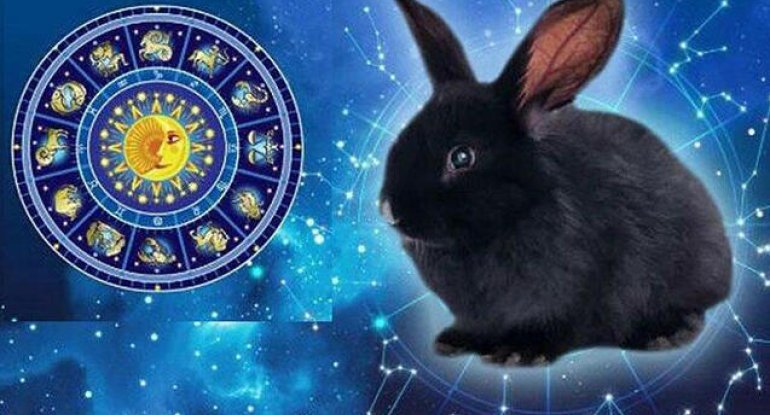 Dovşan ilinin xüsusiyyətləri hansılardır? - Sakit, zərif, yoxsa...