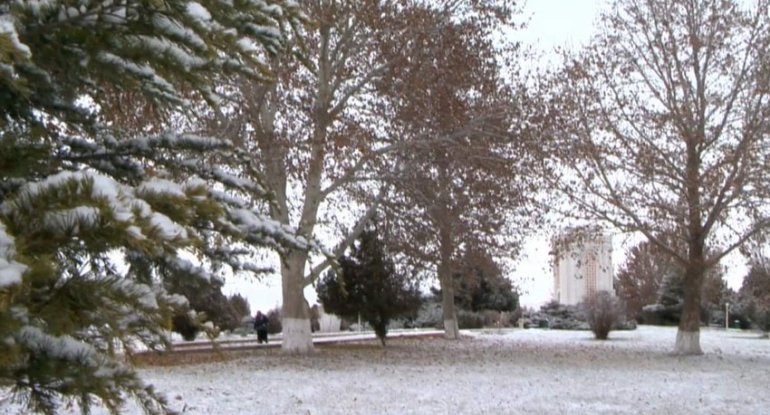 Naxçıvan şəhərinə ilk qar yağıb - FOTO