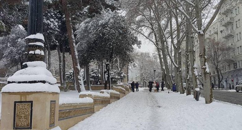 Bu tarixdən temperatur yüksələcək, hava yağmursuz olacaq - PROQNOZ