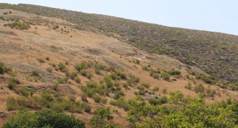 Erməni arxeoloqların 