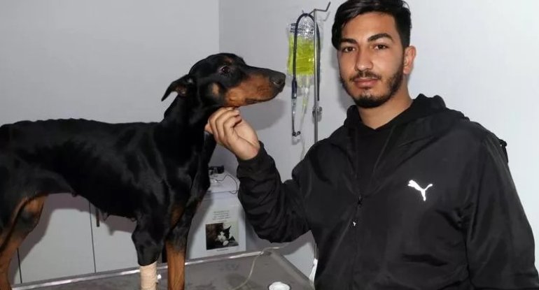 Dağıntılar atından 29 gün sonra xilas edildi - FOTO