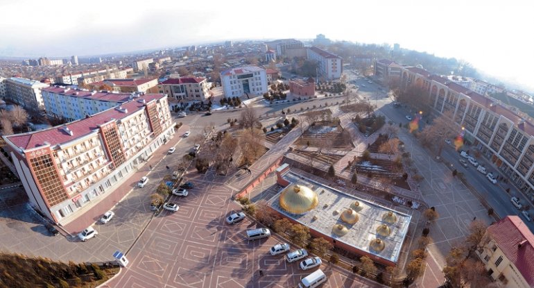 Naxçıvanda 4,5 milyonluq şirkət 11 şirkətə ayrılır