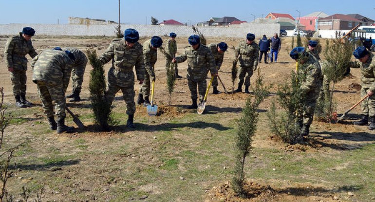 Azərbaycan Ordusunda ağacəkmə aksiyaları keçirilib - FOTO