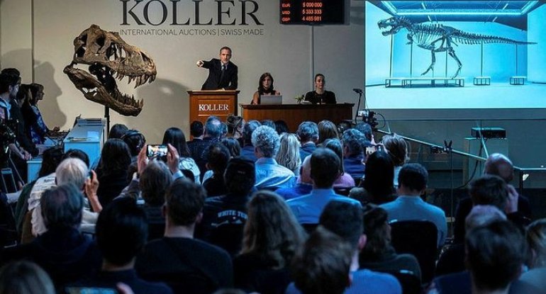 67 milyon illik dinozavr skleti rekord qiymətə satıldı - FOTO