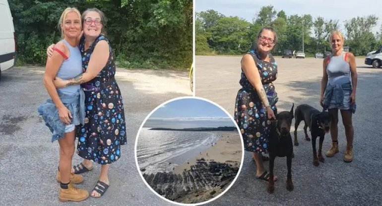 22 milyonda bir ehtimal: İt uyğun donoru qoxusundan tapdı - FOTO