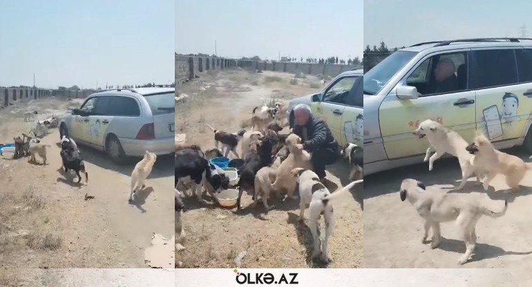 Videosu könülləri fəth etdi: 