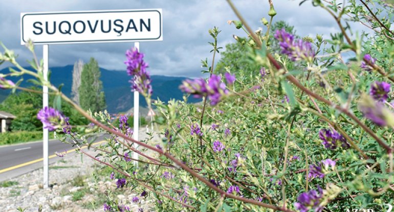 Suqovuşandan yaz FOTOLARI