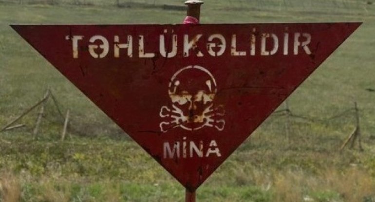 600 ha minalardan tam təmizlənib - VİDEO