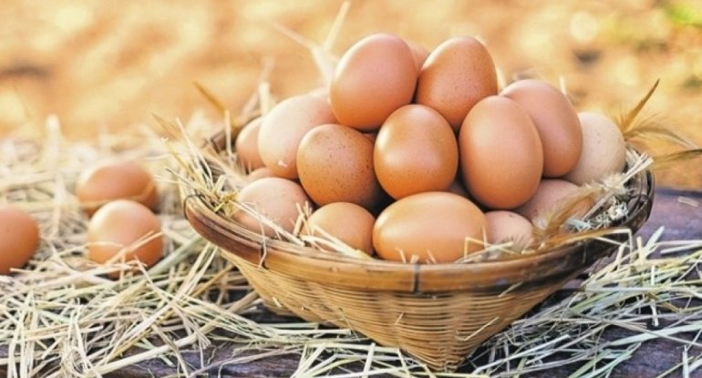 Azərbaycan Belçikaya yumurta ixrac edəcək