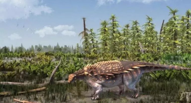 Yeni dinozavr növü kəşf edildi
