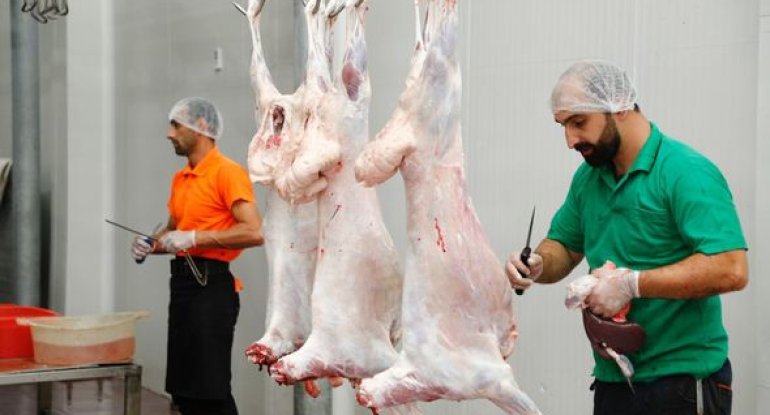 138 ünvanda qurbanlıq heyvanların satışı və kəsimi xidmətləri təşkil edilib - FOTO