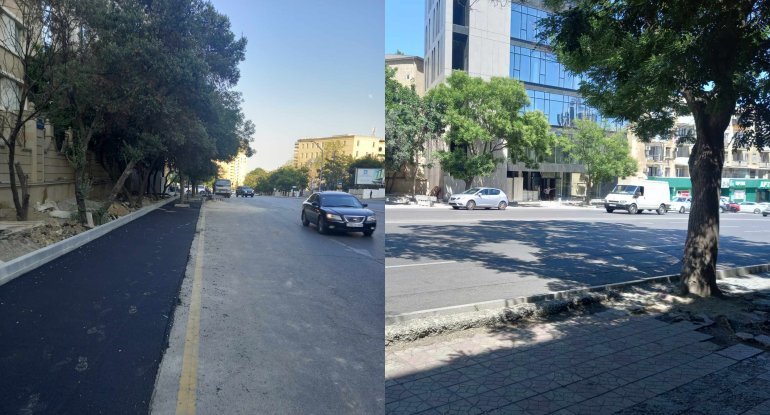 Ağaclar kəsildi, səki ləğv olundu xa0- FOTO