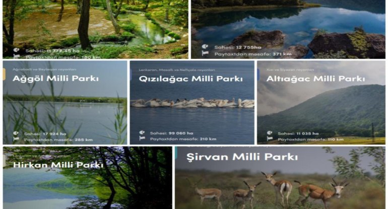 İstirahət günlərində milli parklarda gözlənilən hava açıqlanıb