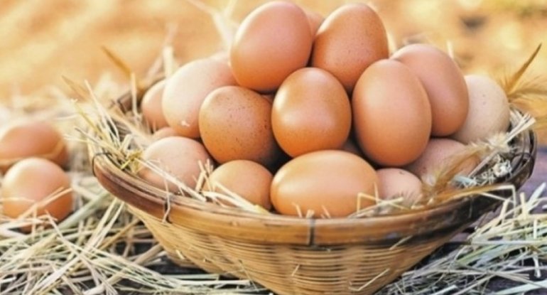 Yumurtanın qiyməti ucuzlaşacaq? – AÇIQLAMAxa0