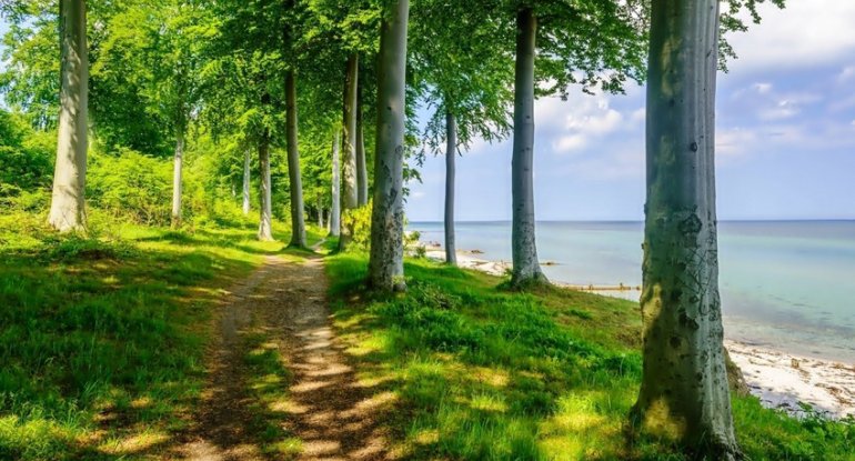 İstirahət günlərində milli parklarda gözlənilən hava şəraiti açıqlanıb