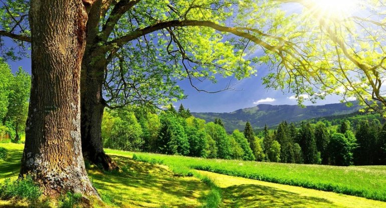 Sabahın havası açıqlandı