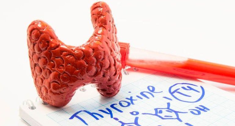 Ən vacib hormonal analiz - TSH nədir?