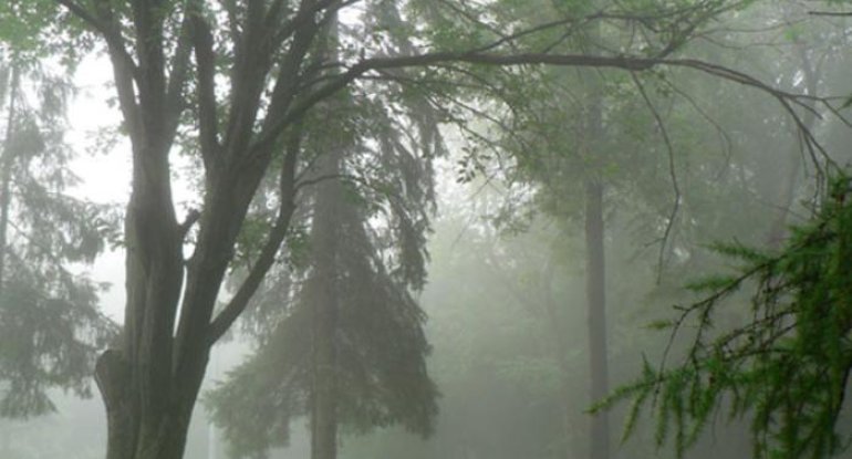 Hava şəraiti dəyişəcək, temperatur enəcək - XƏBƏRDARLIQ