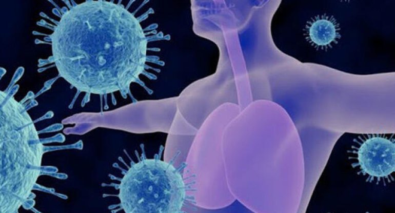 Ekspert payızda immuniteti yaxşılaşdıran məhsulları açıqladı
