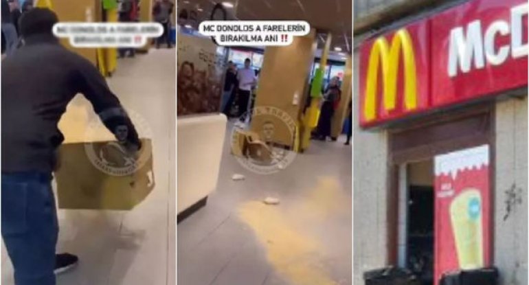 İstanbulda İsrailə qarşı etiraz: “McDonald’s”a siçanlar buraxıldı - VİDEO