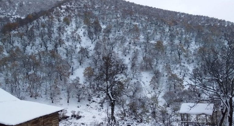 Bazar günü rayonlarda yağış, qar yağacaq, külək əsəcək