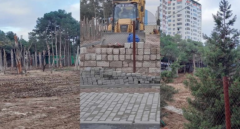 “Ağaclar kəsildi, tikinti işlərinə başlandı” - FOTO