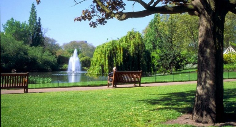 Bakıda yeni Yaşıl Park və Nəbatat Parkı salınacaq