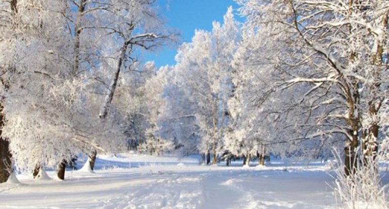 Milli Hidrometeorologiya Xidməti məlumat yaydı