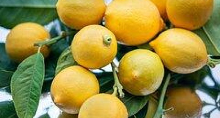 Evdar qadınlara unikal tövsiyə: Limonu krandan asın, nəticəsini də görün