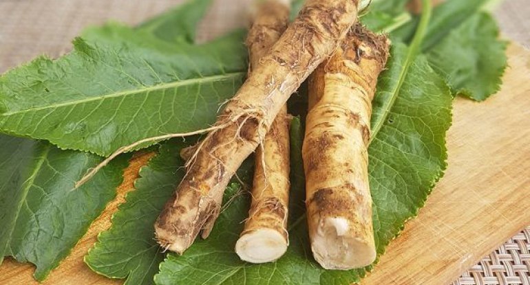 Tərkibində uzunömürlük vitamini olan bitki açıqlandı