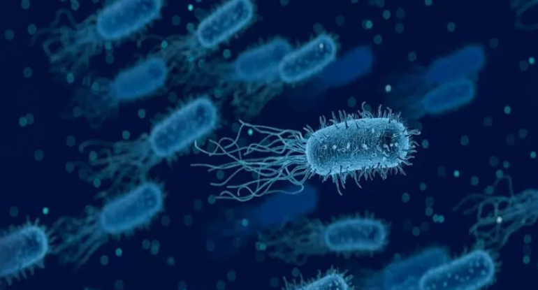 Məlum olmayan yoluxucu bakteriya AŞKAR EDİLDİ