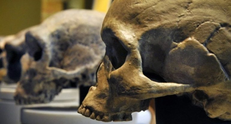 Alimlərdən şok effekti yaradan kəşf: Homo sapiens tarixi yenidən yazılır