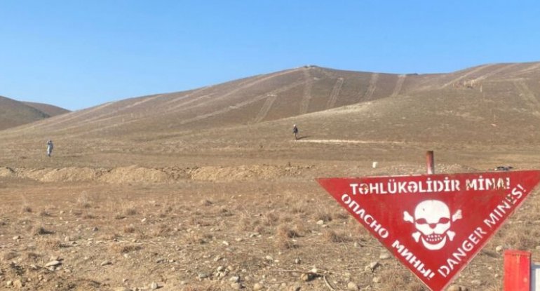 Mal-qara otaranda minaya düşən şəxs politoloq imiş - FOTO