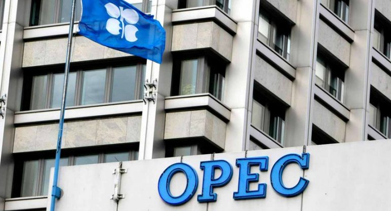 OPEC bu il Azərbaycanda karbohidrogen hasilatı üzrə proqnozunu açıqlayıb