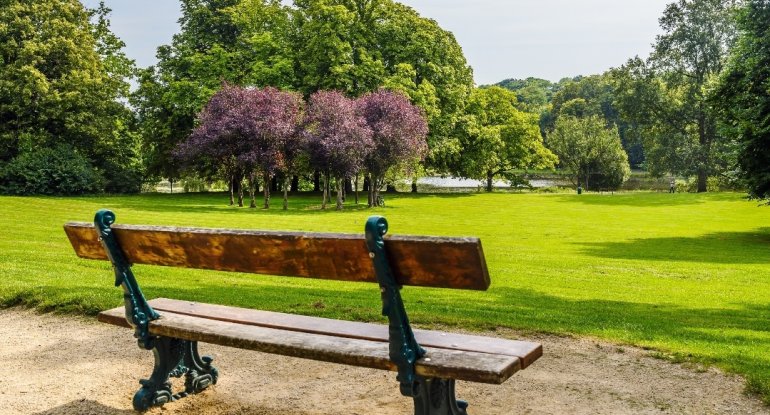 Bakıda bu ərazidəxa0yeni park salınacaq