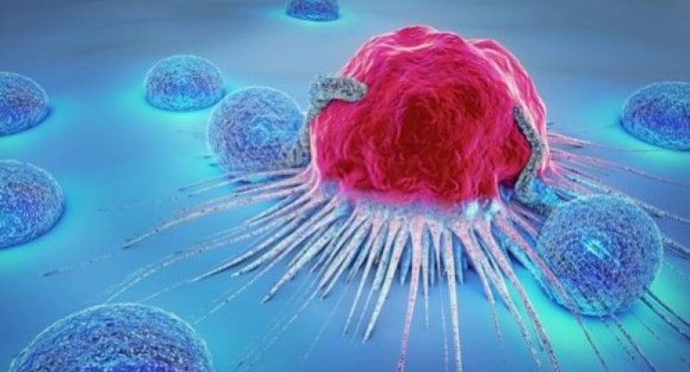 40 illik araşdırma xərçənglə bağlıxa0qorxunc gerçəyi üzə çıxardı