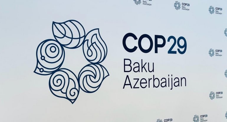 COP29 Könüllülük Proqramı üzrə müsahibələr yekunlaşıb