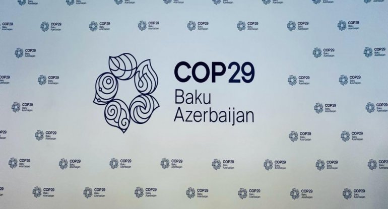 COP 29-un keçirilməsinə ayrılan vəsaitin auditi aparılacaq