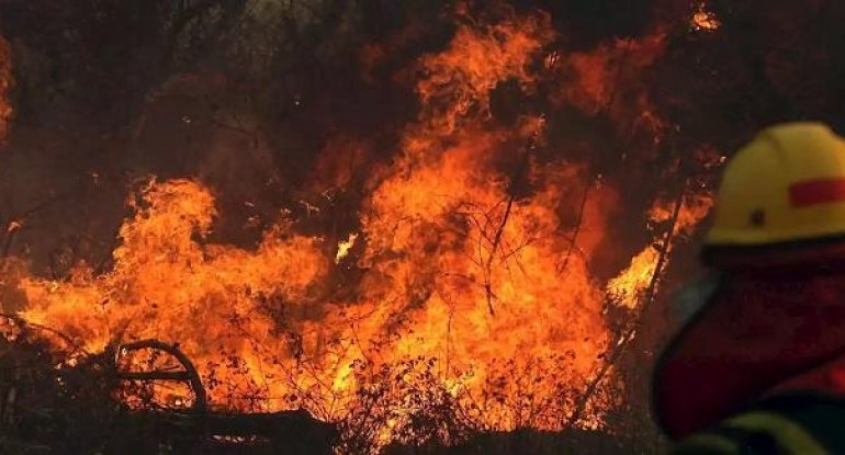 Bu Avropa ölkəsində meşə yanğını binalara keçdi